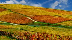 Nature seasons autumn