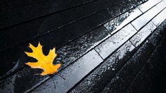 Nature seasons autumn