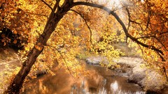 Nature seasons autumn