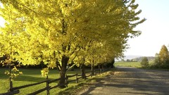 Nature seasons autumn