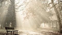 Nature seasons Parks