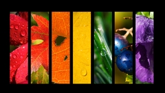 Nature seasons rainbows colors