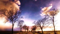 Nature serenity Journey