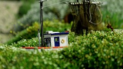 Nature ships bokeh miniature