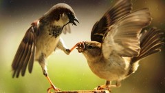 Nature shut up shut mouth