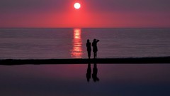 Nature silhouettes sunset sunrise