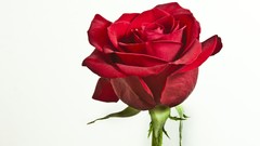 Nature Simple Background