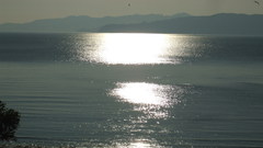 Nature simple fog morning