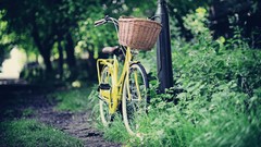 Nature situation Bicycles