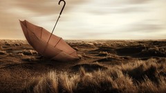 Nature situation clouds Umbrellas