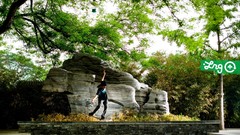 Nature Skateboarding skateboards