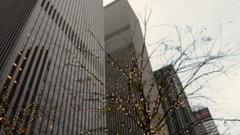 Nature Skyscrapers depth of