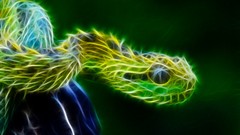 Nature snakes Reptiles Fractalius