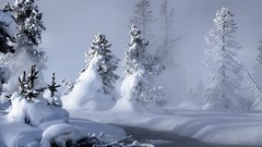 Nature snow