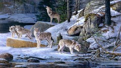 Nature snow Animals Wolves