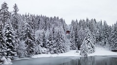 Nature snow cabin forests frozen lake pine trees
