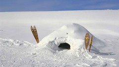 Nature snow Dodge minnesota