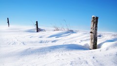 Nature snow fences blue skies