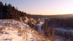 Nature snow forest skyline
