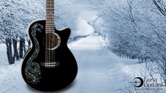 Nature snow guitars