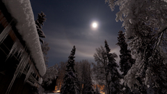 Nature snow moon