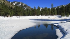 Nature snow mountain shot sage