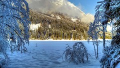Nature snow Mountains clouds sunlight forests
