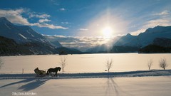 Nature snow Mountains Horses skyscapes