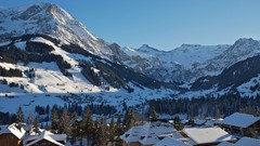 Nature snow Mountains view Birds