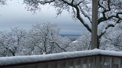 Nature snow snow landscapes