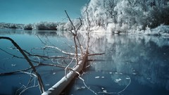 Nature snow snow landscapes