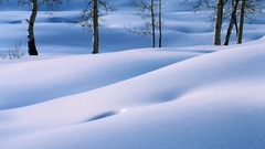 Nature snow snow landscapes