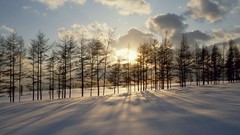 Nature snow snow landscapes