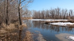 Nature snow spring dirt melting