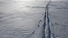 Nature snow tracks