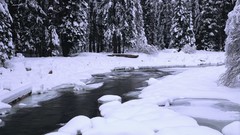 Nature snow water duel Frozen