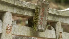 Nature snow winter autumn Japan