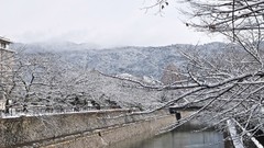 Nature snow winter autumn Japan Garden