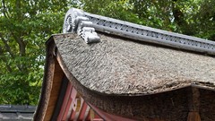 Nature snow winter autumn Japan Garden