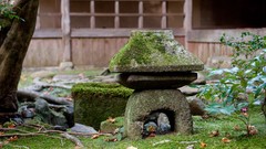 Nature snow winter autumn Japan Garden