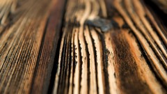 Nature snow winter autumn Japan Garden