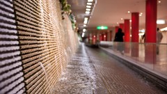 Nature snow winter autumn Japan Garden