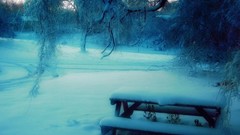 Nature snow winter bench Frozen rivers