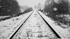 Nature snow winter black and white bushes travel railroad 