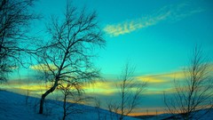 Nature snow winter blue sky cold evening frost february