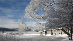 Nature snow winter frozen lake snow landscapes
