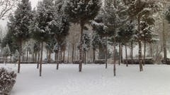 Nature snow winter iran artwork