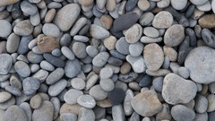 Nature snow winter Japan Garden