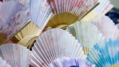 Nature snow winter Japan Garden