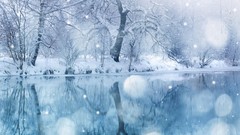 Nature snow winter PC